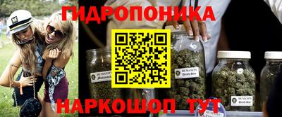 ПСИЛОЦИБИНОВЫЕ ГРИБЫ Бийск
